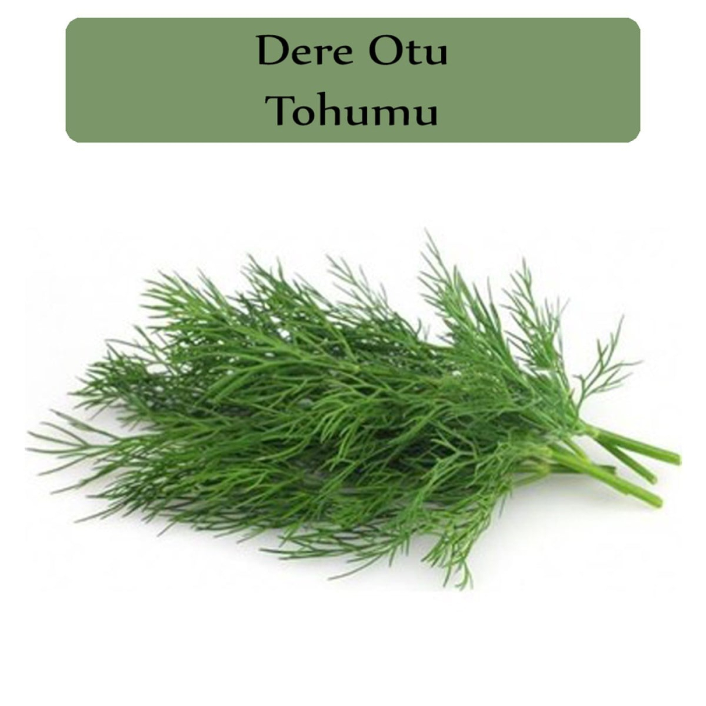dere-otu-tohumu-1-paket-10gr5000-adet--72fd58-i6a01eb0699ba2.jpg