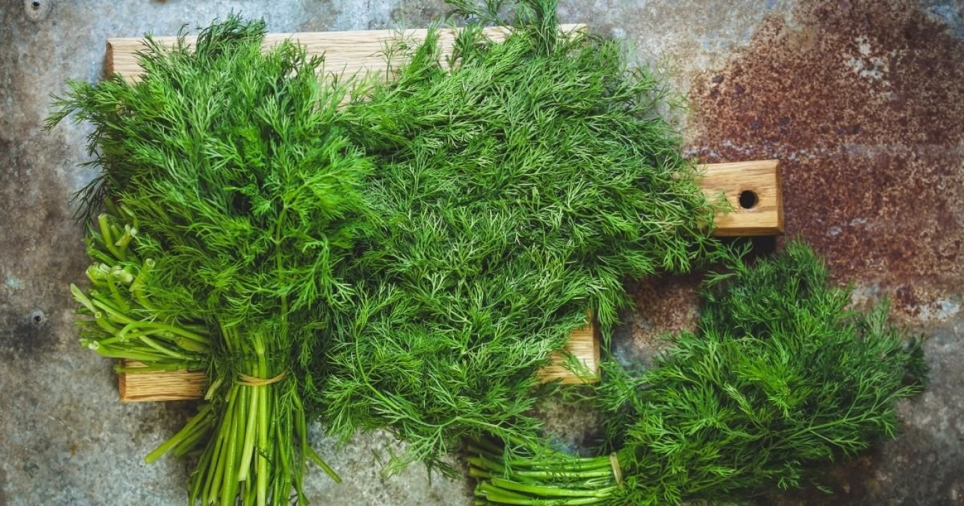 pg-dill-1647190039-i69f79c17d82f3.jpg
