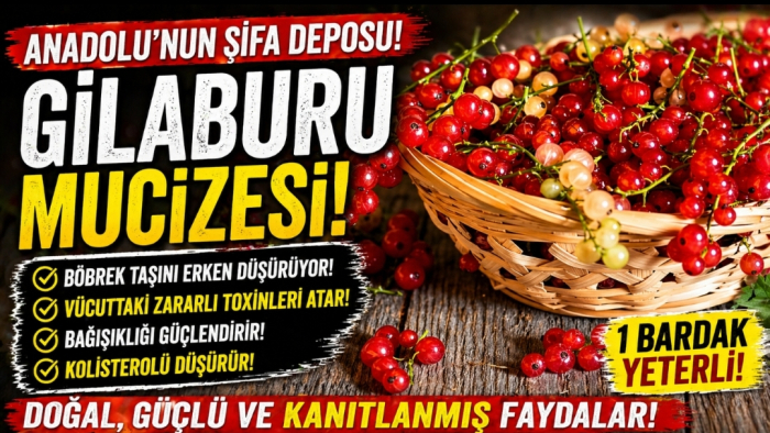 Şifa Deposu Gilaburu: Böbrek Taşı, Kolesterol, Şişkinlik… Hepsine Tek Çözüm mü?