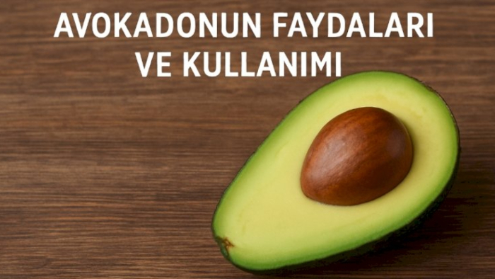 Avokado Gerçeği Ortaya Çıktı: Zayıflatıyor mu, Kabızlığa İyi Geliyor mu? Uzmanlar Bu Süper Meyvenin Bilinmeyen Faydalarını Açıkladı