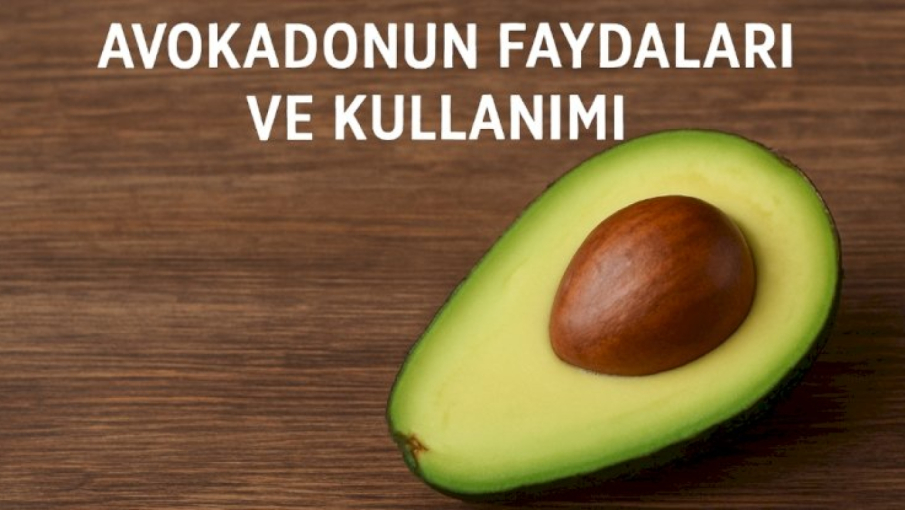 Avokado Gerçeği Ortaya Çıktı: Zayıflatıyor mu, Kabızlığa İyi Geliyor mu? Uzmanlar Bu Süper Meyvenin Bilinmeyen Faydalarını Açıkladı