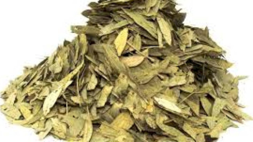 Sinameki Otunun Şifalı Dünyası: Doğal Müshil Etkili Bitkinin Bilinmeyen Yönleri