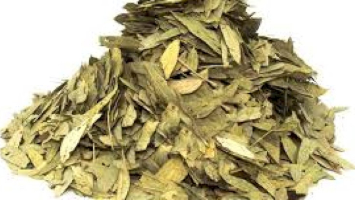 Sinameki Otunun Şifalı Dünyası: Doğal Müshil Etkili Bitkinin Bilinmeyen Yönleri