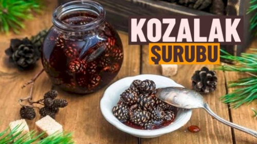 Kozalak Şurubu Doğanın Mucizevi İyileştirici Gücü